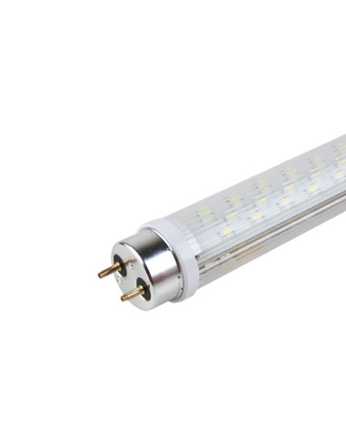 LED lempa T8 8W 3500K šilta balta, ilgis 600mm ACME101562 LED lempa T8 8W 3500K šilta balta, ilgis 600mm ACME101562