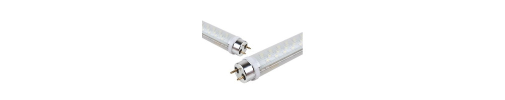 LED T8 lempos