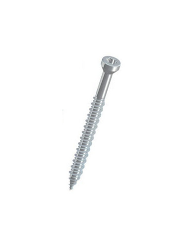 Sraigtas betonui 6.3x100mm TORX galvute ZN WBSW Sraigtas betonui 6.3x100mm TORX galvute ZN WBSW