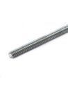 Ilgasriegis 8mm 1m