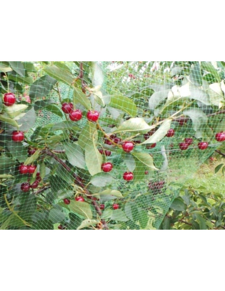 Tinklas nuo paukščių, žalias, plotis 2m, ilgis pakuotėje 10m