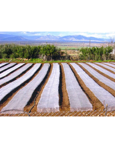 MultiClima apsauginis tinklas nuo šalnų | Profesionali danga augalams 2