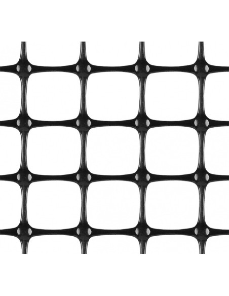 Biaksialus geotinklelis PolGrid BX 20/20, 4x75 m