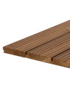 Termomedienos terasinė lenta Lunawood Luna Deck 2 Profix 2 26×117