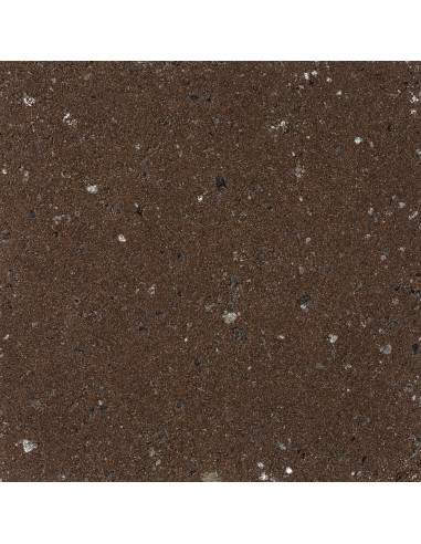Tinkas granito efekto Dryvit Ameristone T, 22kg, spalva Marrone 211