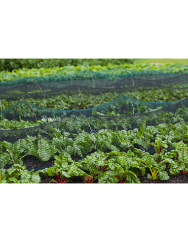 Apsauginis tinklas nuo paukščių Bradas Diamond 20g/m² | Austas