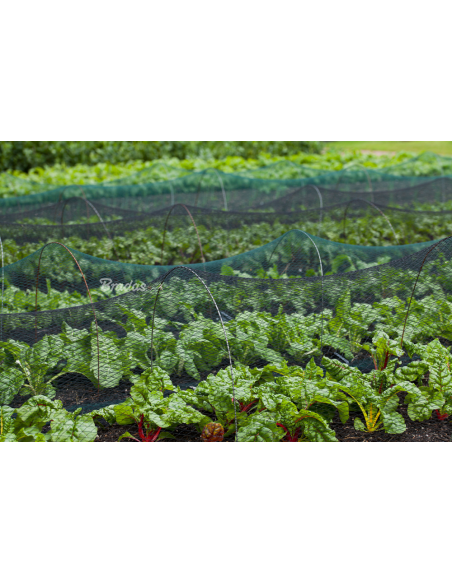 Apsauginis tinklas nuo paukščių Bradas Diamond 20g/m² | Austas