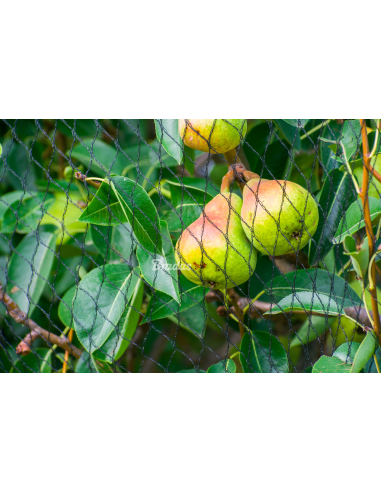 Apsauginis tinklas nuo paukščių Bradas Diamond 20g/m² | Austas