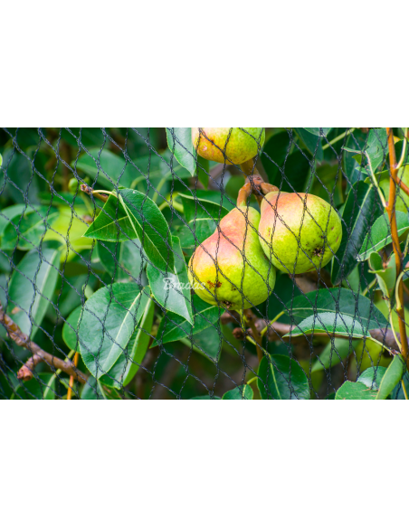 Apsauginis tinklas nuo paukščių Bradas Diamond 20g/m² | Austas