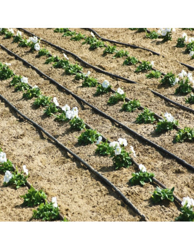 Laistymo drėkinimo sistema KLASIKA DROP be slėginė, ilgis 8m