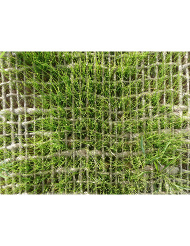 Tinklas priešerozinis, kokoso pluošto, JUTENON® ECC400, 2.0x50m [100m2]