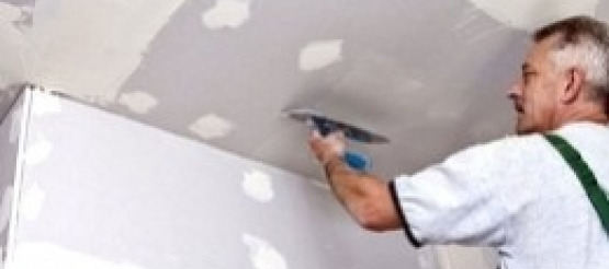 Glaistai PROFORM iš JAV