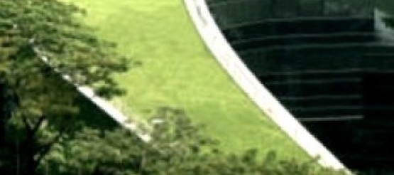 Žaliojo apželdinto stogo įrengimas naudojant drenažinę membraną su geotekstile